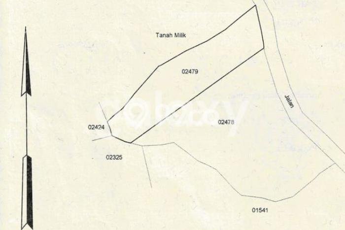 Kavling Tanah di Baturiti Dijual Luas 1560m2 Legalitas SHM Kavling Tanah di Baturiti Dijual Luas 1560m2 Legalitas SHM