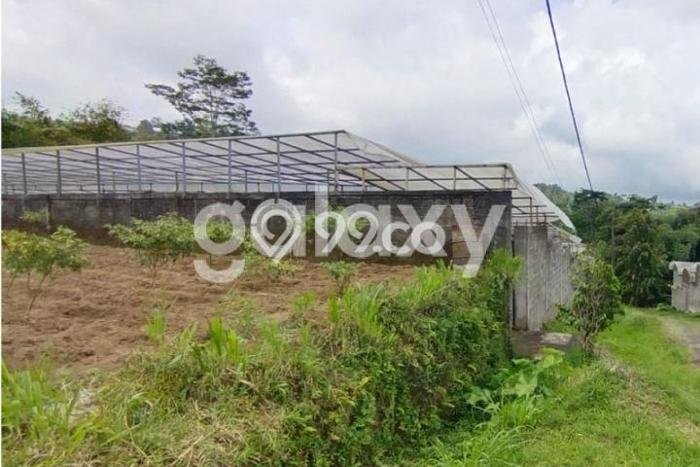 Kavling Tanah Dijual di Baturiti, Tabanan, Luas 560m2 Area Strategis Kavling Tanah Dijual di Baturiti, Tabanan, Luas 560m2 Area Strategis