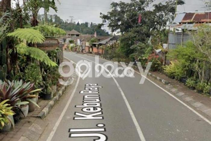 Tanah di Baturiti, Luas 800m², Kawasan Berkembang, Dekat Baturiti, Tabanan, Tabanan Tanah di Baturiti, Luas 800m², Kawasan Berkembang, Dekat Baturiti, Tabanan, Tabanan