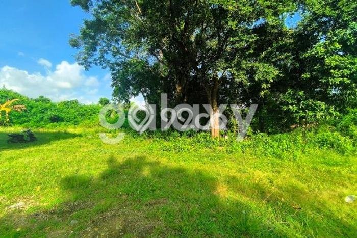 Tanah Potensial di Kuta Selatan, Luas 5020m², For Rent Tanah Potensial di Kuta Selatan, Luas 5020m², For Rent
