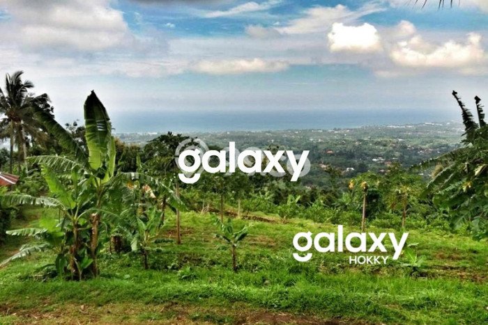 Tanah untuk Dijual Lokasi Sukasada, Buleleng Luas 9800m2 SHM Tanah untuk Dijual Lokasi Sukasada, Buleleng Luas 9800m2 SHM