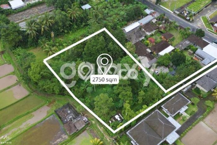 Jual Tanah Lokasi Prima di Baturiti, Luas 2750m2m², Dekat Baturiti, Tabanan, Tabanan Jual Tanah Lokasi Prima di Baturiti, Luas 2750m2m², Dekat Baturiti, Tabanan, Tabanan