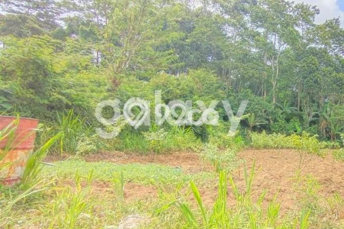 Kavling Tanah Dijual di Baturiti, Tabanan, Luas 560m2 Area Strategis Kavling Tanah Dijual di Baturiti, Tabanan, Luas 560m2 Area Strategis