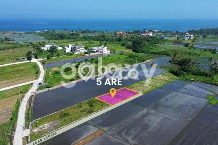 Tanah Kawasan Kediri, Luas 500m², Area Strategis, Lingkungan Asri Tanah Kawasan Kediri, Luas 500m², Area Strategis, Lingkungan Asri