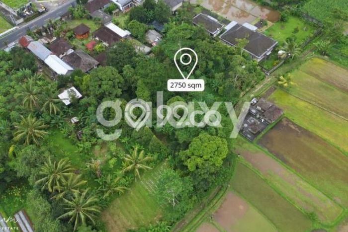 Jual Tanah Lokasi Prima di Baturiti, Luas 2750m2m², Dekat Baturiti, Tabanan, Tabanan Jual Tanah Lokasi Prima di Baturiti, Luas 2750m2m², Dekat Baturiti, Tabanan, Tabanan