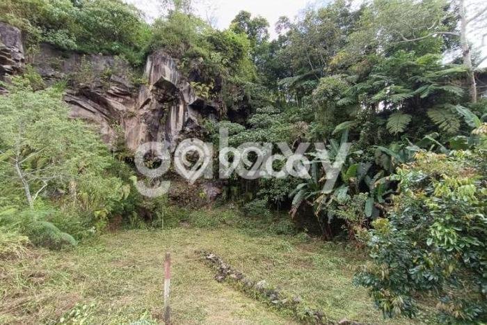 Kavling Tanah di Baturiti Dijual Luas 1560m2 Legalitas SHM Kavling Tanah di Baturiti Dijual Luas 1560m2 Legalitas SHM