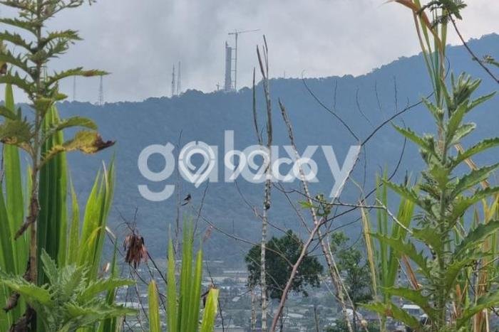 Tanah Dijual Lokasi Sukasada Buleleng SHM Tanah Dijual Lokasi Sukasada Buleleng SHM