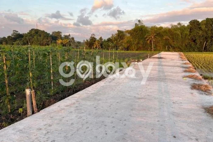 Tanah Kawasan Kediri, Luas 500m², Area Strategis, Lingkungan Asri Tanah Kawasan Kediri, Luas 500m², Area Strategis, Lingkungan Asri