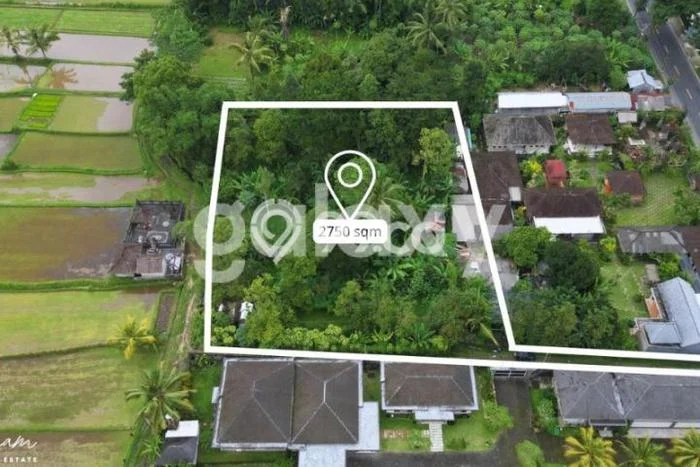 Jual Tanah Lokasi Prima di Baturiti, Luas 2750m2m², Dekat Baturiti, Tabanan, Tabanan Jual Tanah Lokasi Prima di Baturiti, Luas 2750m2m², Dekat Baturiti, Tabanan, Tabanan