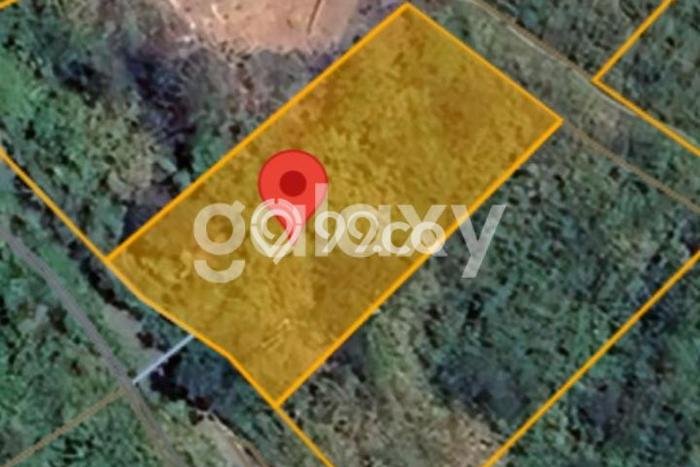 Tanah Dijual Lokasi Sukasada Buleleng SHM Tanah Dijual Lokasi Sukasada Buleleng SHM