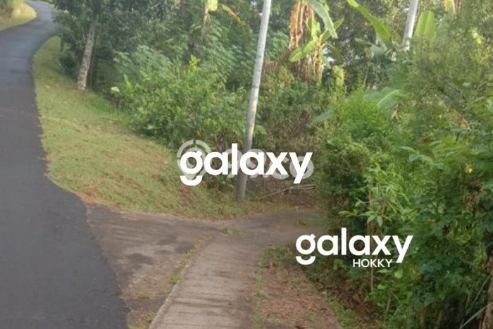 Tanah untuk Dijual Lokasi Sukasada, Buleleng Luas 9800m2 SHM Tanah untuk Dijual Lokasi Sukasada, Buleleng Luas 9800m2 SHM