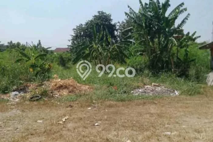 Kavling Tanah di Cimanggis Dijual Luas 11000m2 Legalitas SHM Kavling Tanah di Cimanggis Dijual Luas 11000m2 Legalitas SHM