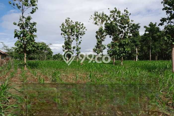 Tanah untuk Dijual di Caringin Garut Luas 100000m2 Tanah untuk Dijual di Caringin Garut Luas 100000m2