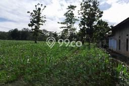 Tanah untuk Dijual di Caringin Garut Luas 100000m2 Tanah untuk Dijual di Caringin Garut Luas 100000m2