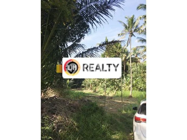 Kavling Tanah Dijual di Argomulyo Salatiga Spesifikasi 5052m2 Kavling Tanah Dijual di Argomulyo Salatiga Spesifikasi 5052m2