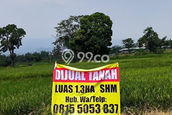 Tanah di Purwosari, Pasuruan Luas 1.3e+08m2 Dijual Segera Tanah di Purwosari, Pasuruan Luas 1.3e+08m2 Dijual Segera