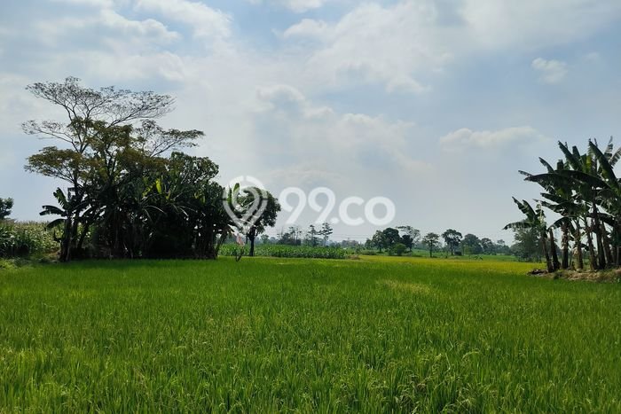 Tanah di Purwosari, Pasuruan Luas 1.3e+08m2 Dijual Segera Tanah di Purwosari, Pasuruan Luas 1.3e+08m2 Dijual Segera