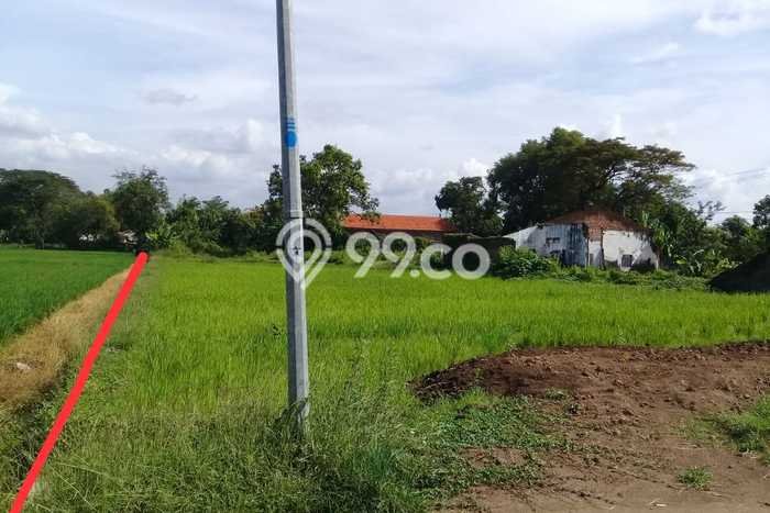 Tanah Kosong Dijual di Pasuruan dengan Area 5300m2 Tanah Kosong Dijual di Pasuruan dengan Area 5300m2