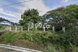 Tanah di Purwodadi, Pasuruan Luas 13390m2 Dijual Segera Tanah di Purwodadi, Pasuruan Luas 13390m2 Dijual Segera