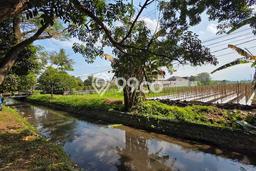 Jarang Ada! Tanah di Kedungkandang Punya Luas 3349m2 SHM Jarang Ada! Tanah di Kedungkandang Punya Luas 3349m2 SHM