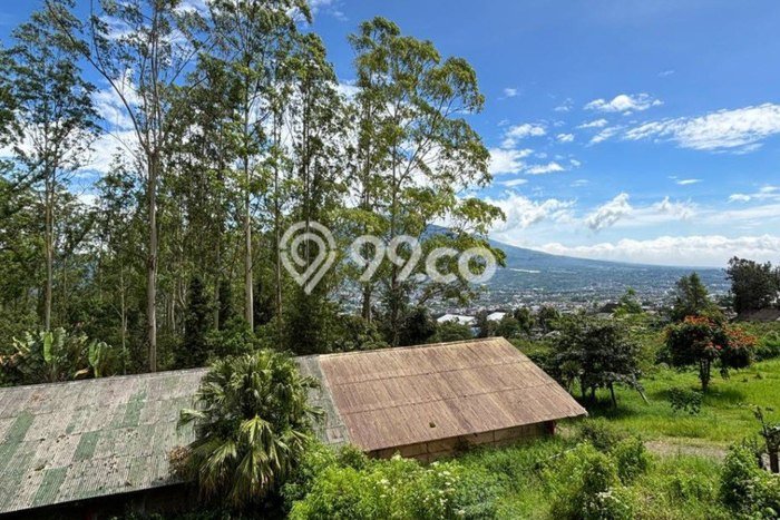For Sale Rumah 3 Kamar Lokasi Strategis Nyaman dan Strategis di Batu For Sale Rumah 3 Kamar Lokasi Strategis Nyaman dan Strategis di Batu