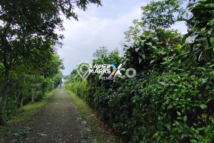 Tanah Dijual Lokasi Bumiaji, Batu Luas 3418m2 Legalitas Aman Tanah Dijual Lokasi Bumiaji, Batu Luas 3418m2 Legalitas Aman