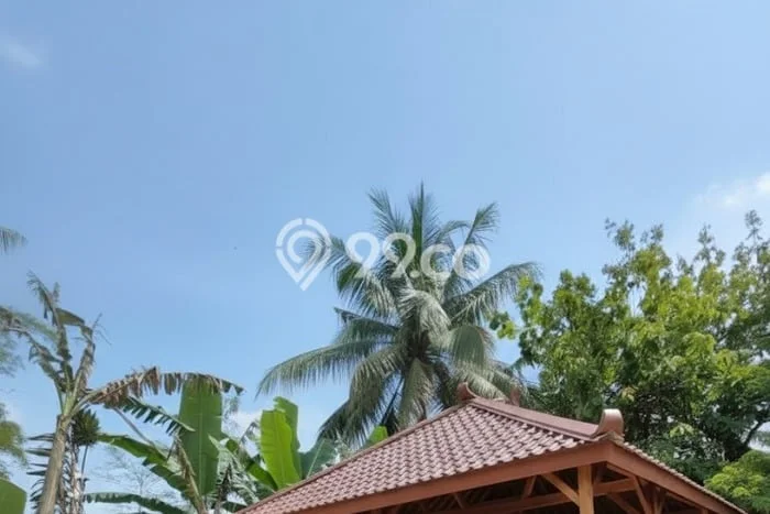 Rumah Sederhana Dijual di Turi 2 Kamar dengan LT 80m2 Rumah Sederhana Dijual di Turi 2 Kamar dengan LT 80m2