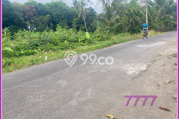 Tanah Magelang Dijual Murah, Di Belakang Perumnas Kalinegoro Tanah Magelang Dijual Murah, Di Belakang Perumnas Kalinegoro