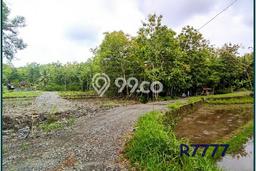 Tanah Murah Jogja, Di Kawasan Industri Sentolo, SHM Ready Tanah Murah Jogja, Di Kawasan Industri Sentolo, SHM Ready