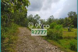 Tanah Dijual Jogja Barat Dekat Puskesmas Panjatan, SHM Ready Tanah Dijual Jogja Barat Dekat Puskesmas Panjatan, SHM Ready
