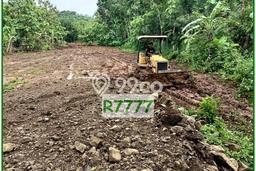Dijual Tanah Murah Dekat Embung Imogiri Bantul, SHM Pekarangan Dijual Tanah Murah Dekat Embung Imogiri Bantul, SHM Pekarangan