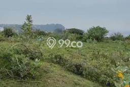 Tanah Kavling di Ngaliyan Dijual dengan Luas 9867m2 Tanah Kavling di Ngaliyan Dijual dengan Luas 9867m2