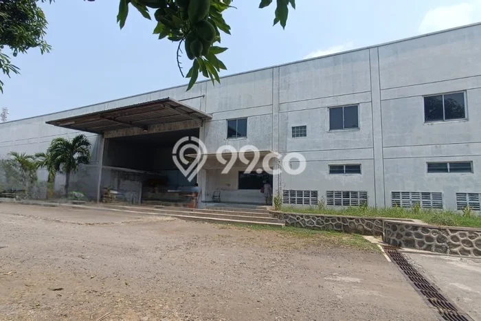 Gudang Disewa di Kendal dengan LB 1500m2 Area Komersial Ramai Gudang Disewa di Kendal dengan LB 1500m2 Area Komersial Ramai