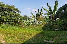 Lahan Kosong Dijual di Semarang dengan Area 6000m2 Lahan Kosong Dijual di Semarang dengan Area 6000m2