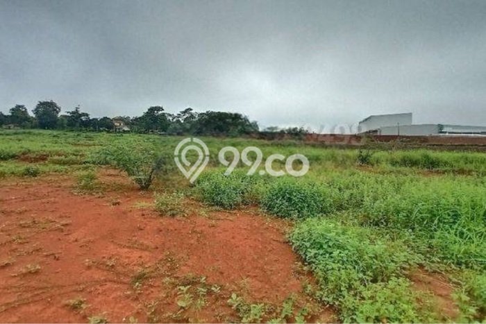 Kavling Tanah Dijual di Batang Batang Spesifikasi 30000m2 Kavling Tanah Dijual di Batang Batang Spesifikasi 30000m2
