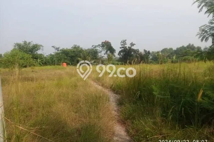 Lahan Dijual Lokasi Rangkasbitung, Lebak dengan Luas Tanah 29207m2 dan Status SHM Lahan Dijual Lokasi Rangkasbitung, Lebak dengan Luas Tanah 29207m2 dan Status SHM