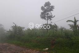 Tanah Dijual Lokasi Cigudeg, Bogor Luas 22430m2 Legalitas Aman Tanah Dijual Lokasi Cigudeg, Bogor Luas 22430m2 Legalitas Aman