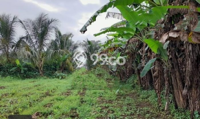 Lahan Kosong Dijual di Bogor dengan Area 835m2 Lahan Kosong Dijual di Bogor dengan Area 835m2
