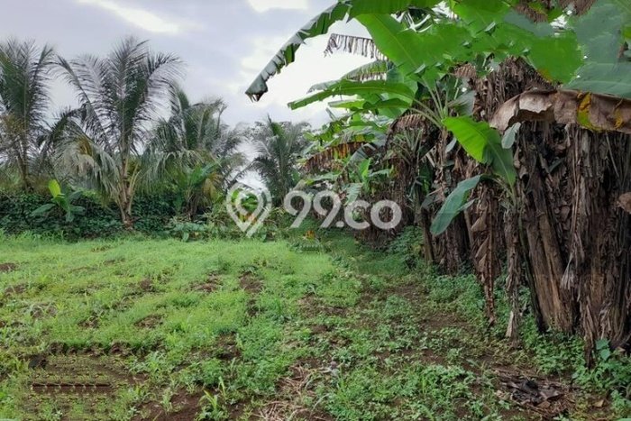 Lahan Kosong Dijual di Bogor Barat, Bogor, Luas 1235m2 Area Strategis Lahan Kosong Dijual di Bogor Barat, Bogor, Luas 1235m2 Area Strategis