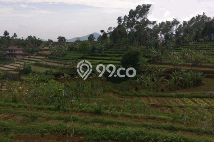 Dijual Tanah di Ciwidey Bandung Luas 11400m2 SHM Dijual Tanah di Ciwidey Bandung Luas 11400m2 SHM