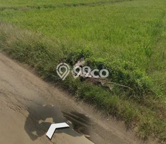 Tanah Kosong Dijual di Majalengka dengan Area 1428m2 Tanah Kosong Dijual di Majalengka dengan Area 1428m2