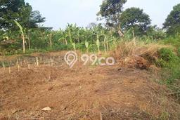 Dijual Tanah di Leuwiliang Bogor Luas 21810m2 SHM Dijual Tanah di Leuwiliang Bogor Luas 21810m2 SHM