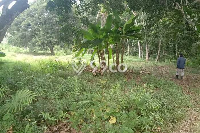 Lahan Kosong Dijual di Kalijati, Subang, Luas 13000m2 Area Strategis Lahan Kosong Dijual di Kalijati, Subang, Luas 13000m2 Area Strategis