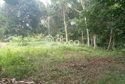 Untuk Dijual Tanah di Kalijati Subang Luas 13000m2 SHM Untuk Dijual Tanah di Kalijati Subang Luas 13000m2 SHM