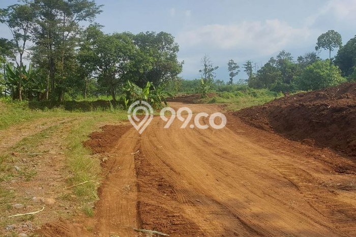 Kavling Tanah Dijual di Sukorejo, Pasuruan, Luas 700000m2 Area Strategis Kavling Tanah Dijual di Sukorejo, Pasuruan, Luas 700000m2 Area Strategis