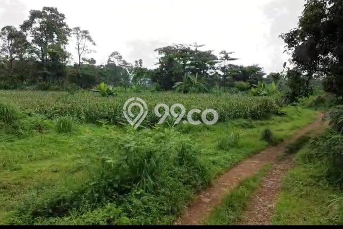 Kavling Tanah Dijual di Sukorejo, Pasuruan, Luas 700000m2 Area Strategis Kavling Tanah Dijual di Sukorejo, Pasuruan, Luas 700000m2 Area Strategis