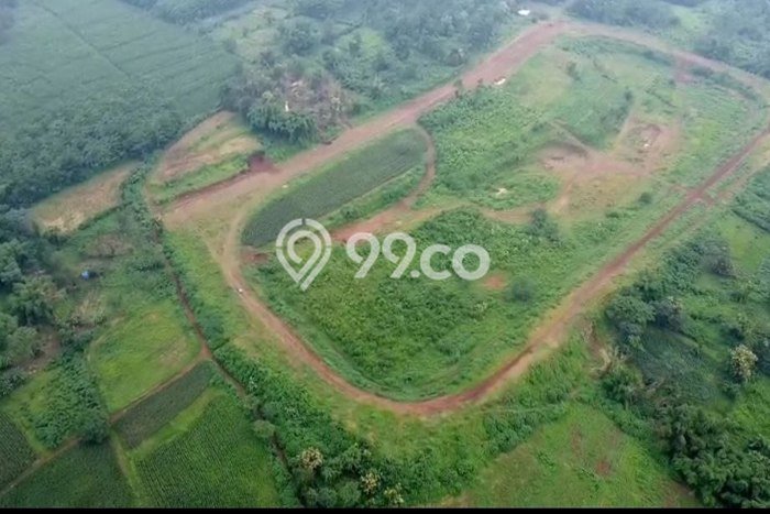 Kavling Tanah Dijual di Sukorejo, Pasuruan, Luas 700000m2 Area Strategis Kavling Tanah Dijual di Sukorejo, Pasuruan, Luas 700000m2 Area Strategis