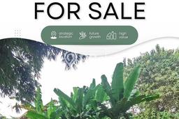 Tanah Dijual Lokasi Cisauk, Tangerang Luas 2009m2 Legalitas Aman Tanah Dijual Lokasi Cisauk, Tangerang Luas 2009m2 Legalitas Aman