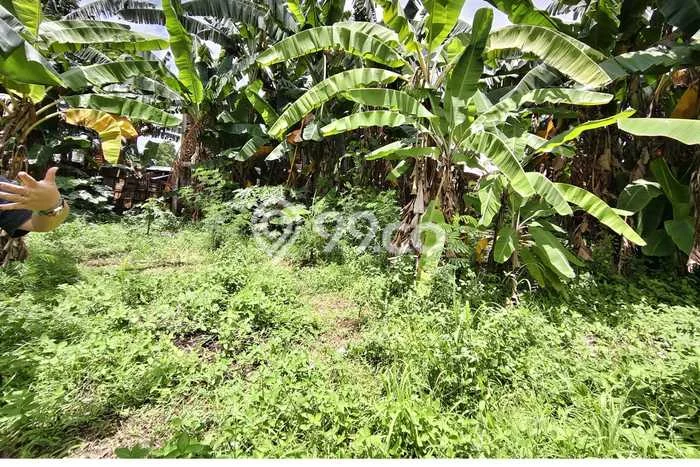 Dijual Tanah 1150m2 di Taman Royal, Tangerang Dijual Tanah 1150m2 di Taman Royal, Tangerang