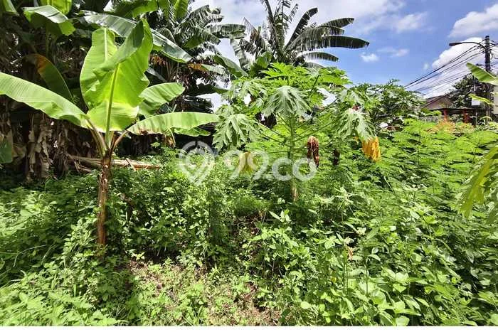 Dijual Tanah 1150m2 di Taman Royal, Tangerang Dijual Tanah 1150m2 di Taman Royal, Tangerang